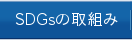 SDGs̎g